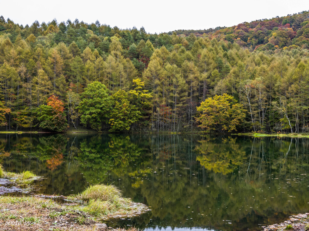 御射鹿池の進む紅葉