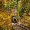 赤沢森林鉄道