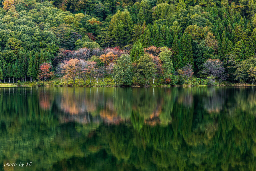 中綱湖の紅葉　前作の2週間前
