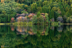 中綱湖の紅葉　前作の2週間前