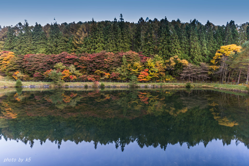 紅葉映り込み1