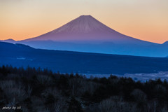 朝陽を浴びて