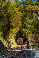 赤沢森林鉄道