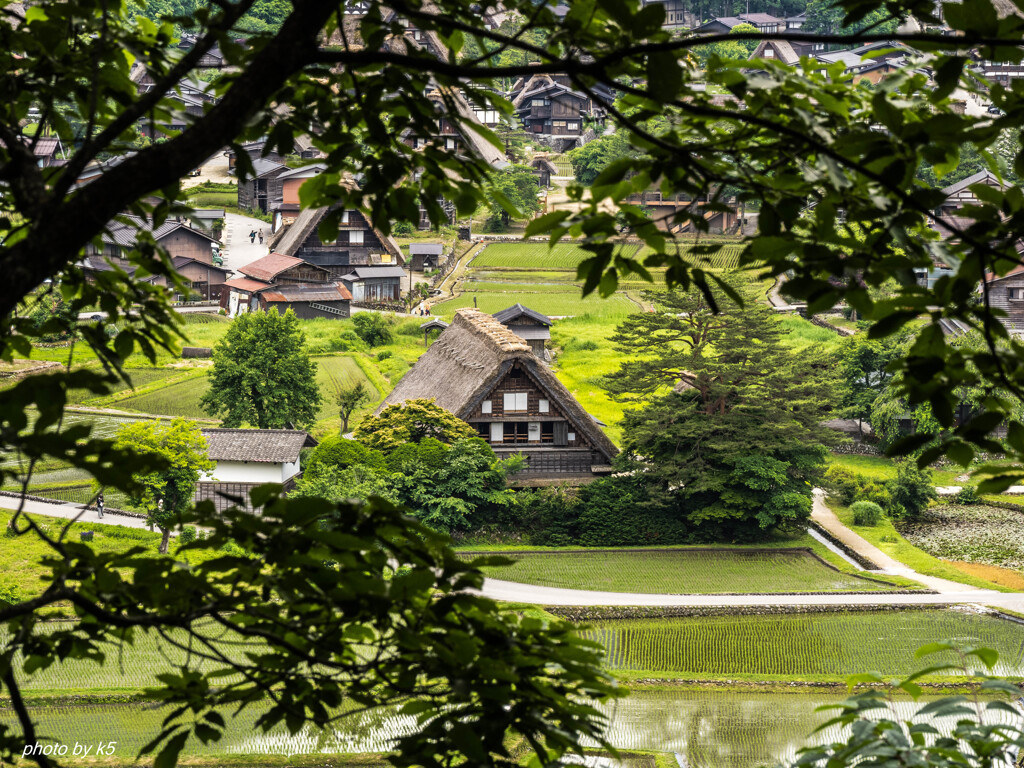 白川郷3