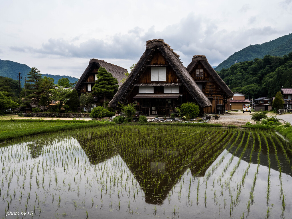 白川郷