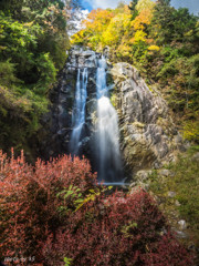 滝と紅葉
