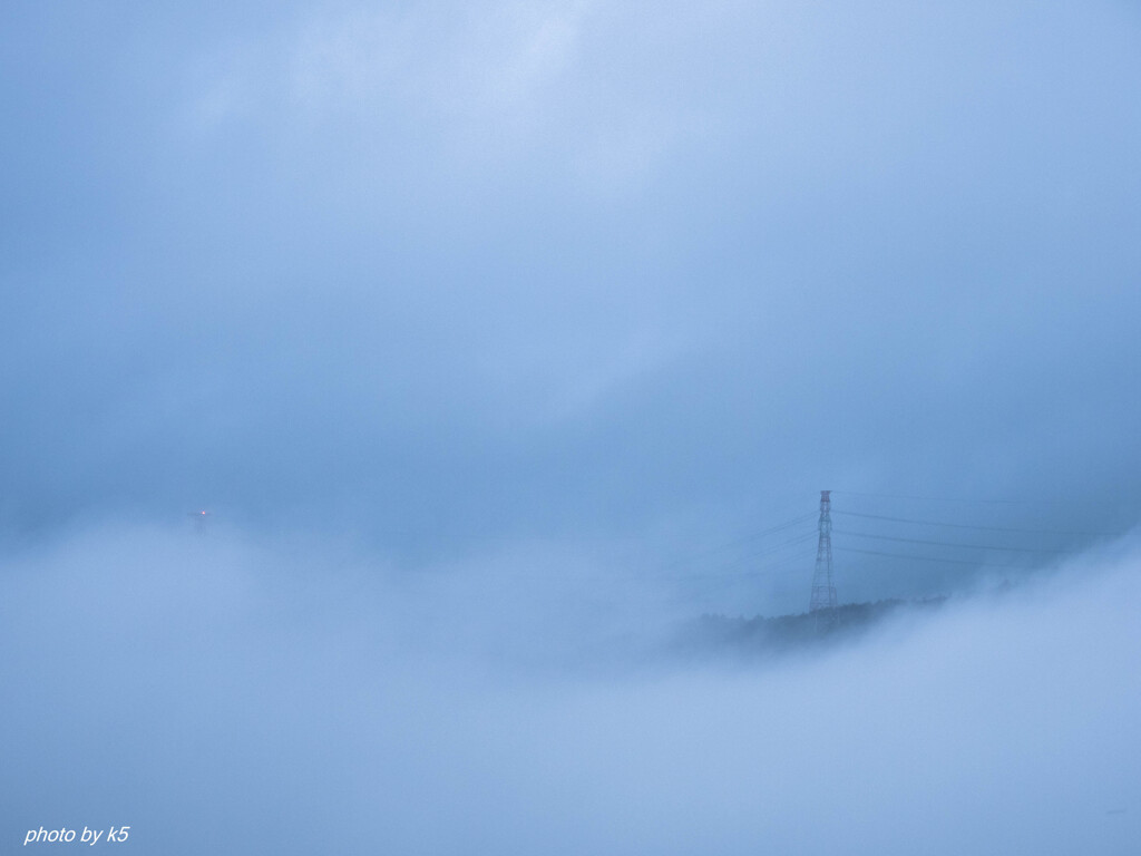 霧中