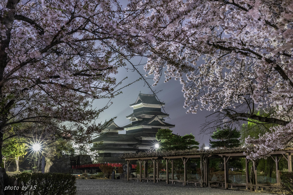 国宝松本城と夜桜2