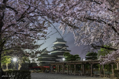 国宝松本城と夜桜2
