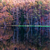 御射鹿池の紅葉
