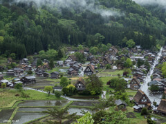 雨の白川郷