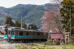 ローカル線の春