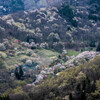 陸郷桜仙峡