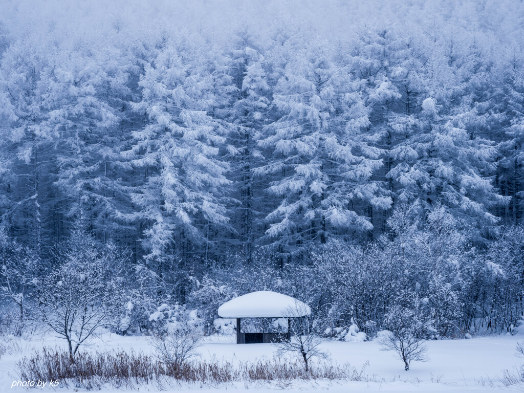 雪景色