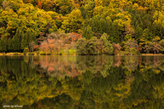 紅葉のリフレクション