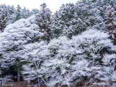 4月１日雪景色