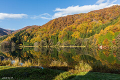 中綱湖の紅葉