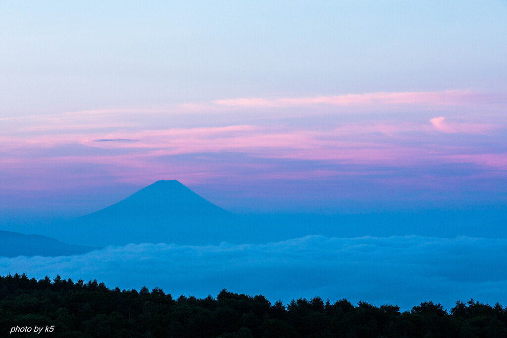 踊場湿原からの富士山