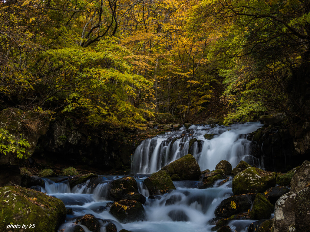 大滝の紅葉