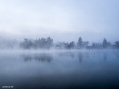 霧の蓼科湖
