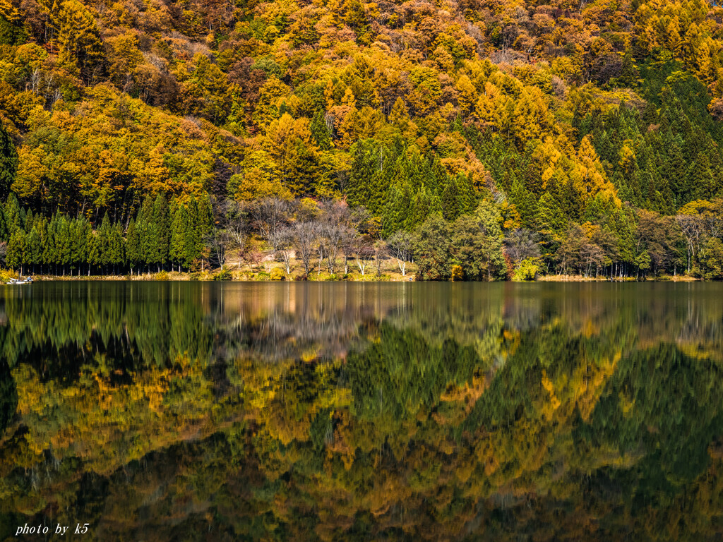 中綱湖の紅葉