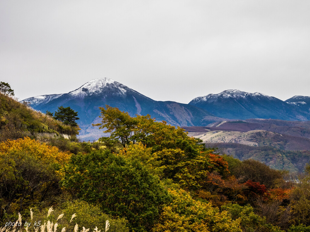 霧ヶ峰高原の紅葉