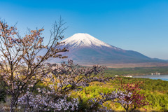 山中湖パノラマ台より