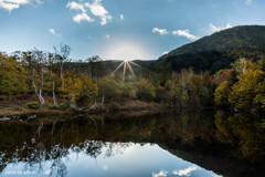 偲ぶの池に朝の光