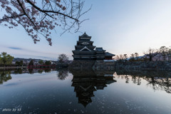 松本城と桜2