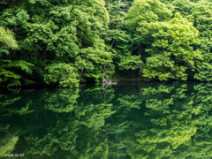 水鏡2