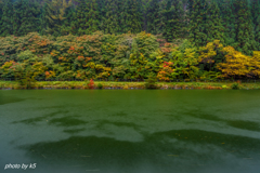 雨と紅葉