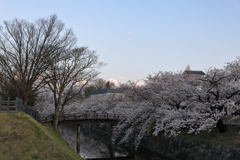 北のお堀から常念岳
