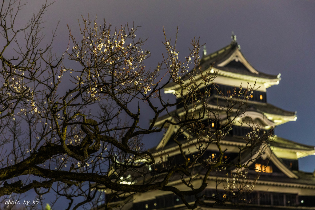 梅と城