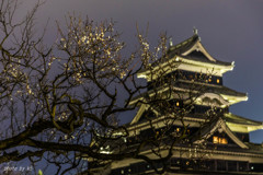 梅と城
