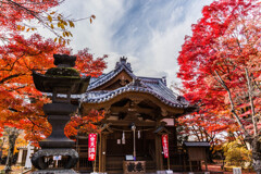 小諸城址懐古園の紅葉2
