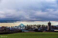 牧場からの富士山