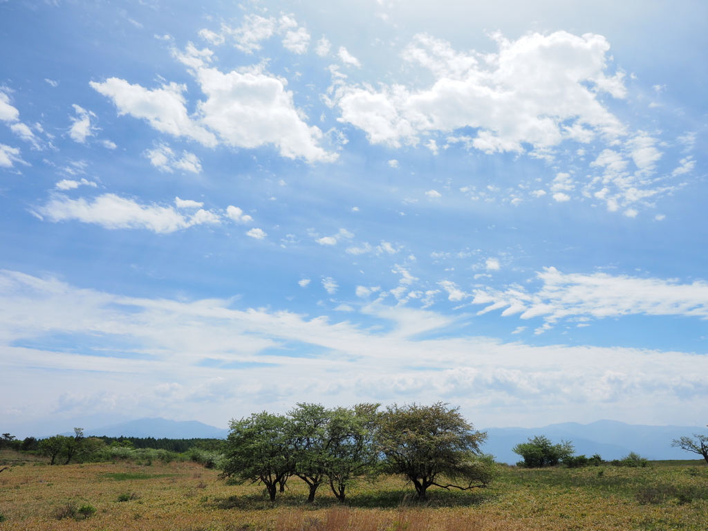 高ボッチ高原～雲2～