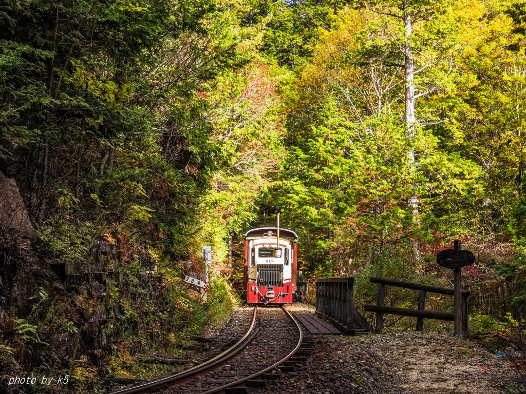 赤沢森林鉄道2