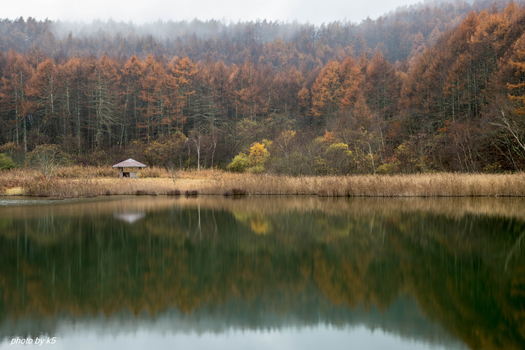 中牧湖の紅葉