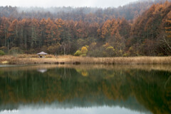 中牧湖の紅葉