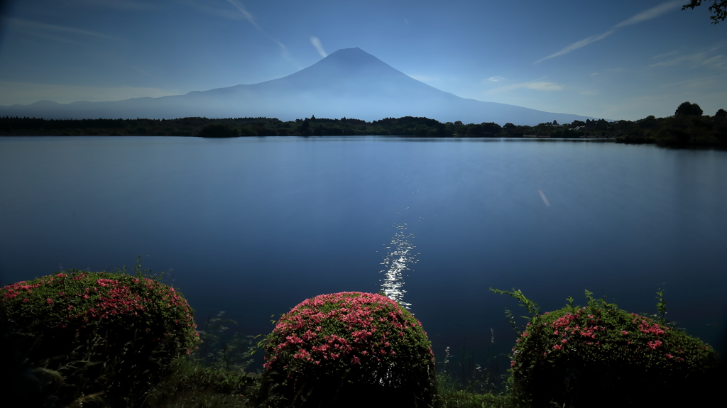 Mt.fuji＆つつじ