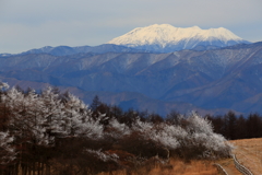 高ボッチ高原view2016.12.25-御岳山と霧氷