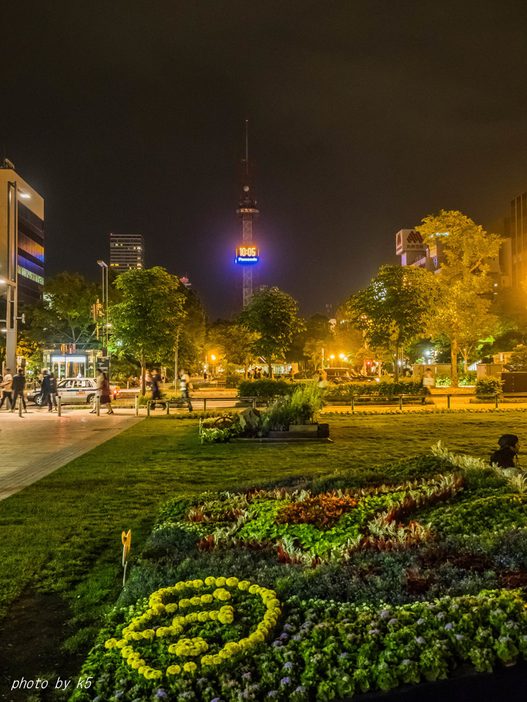 夜の大通公園
