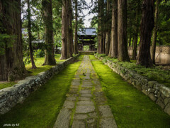 苔の寺