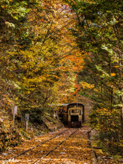 赤沢森林鉄道