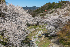 東山夢の郷公園（夢農場）