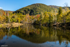 まいめの池の紅葉