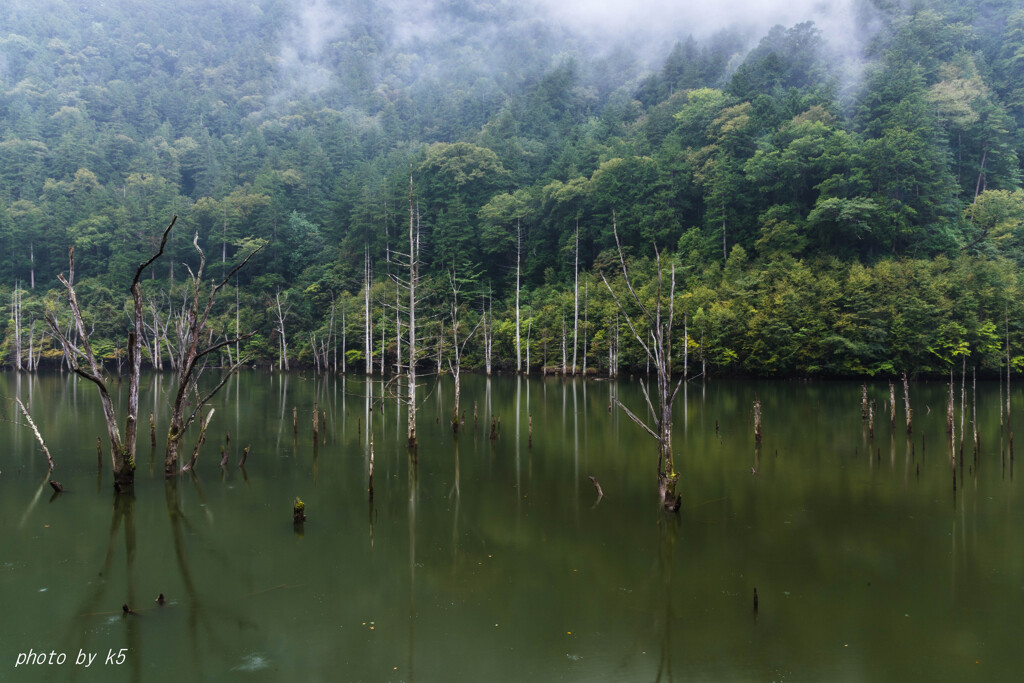 雨の自然湖1