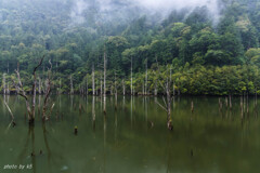 雨の自然湖1