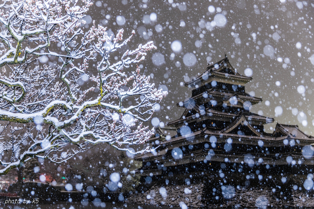 雪の松本城